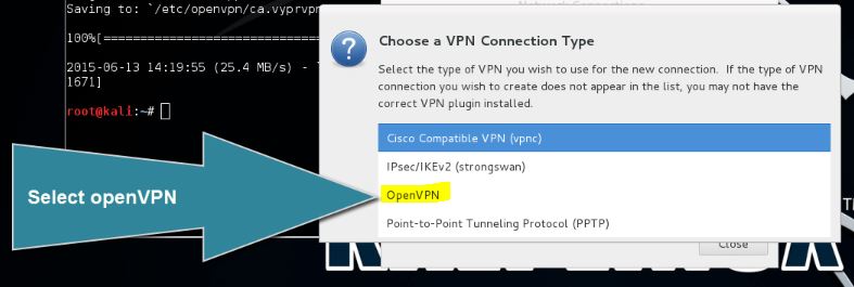 VPN on Kali Linux 