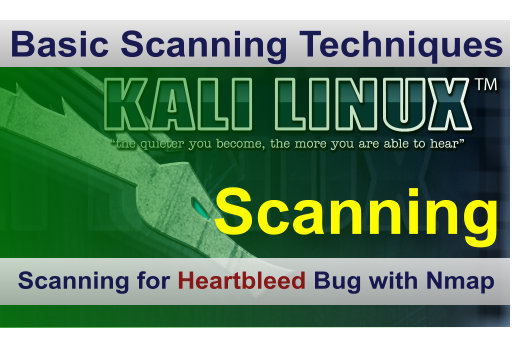 Heartbleed bug Scanning using Nmap on Kali Linux
