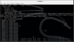 Uniscan Webserver Fingerprinting -3