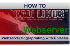Webserver fingerprinting with Uniscan in Kali Linux