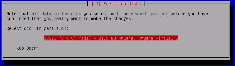 Kali Linux Installation - Partition disks 12