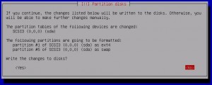Kali Linux Installation - Partition drives 15