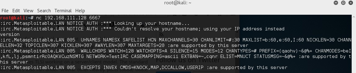 Metasploitable 2 netcat unreal ircd - 2