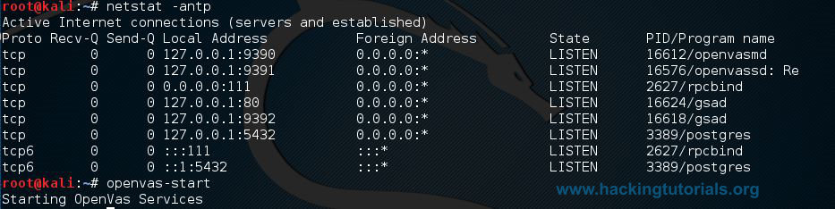 OpenVAS setup netstat -antp