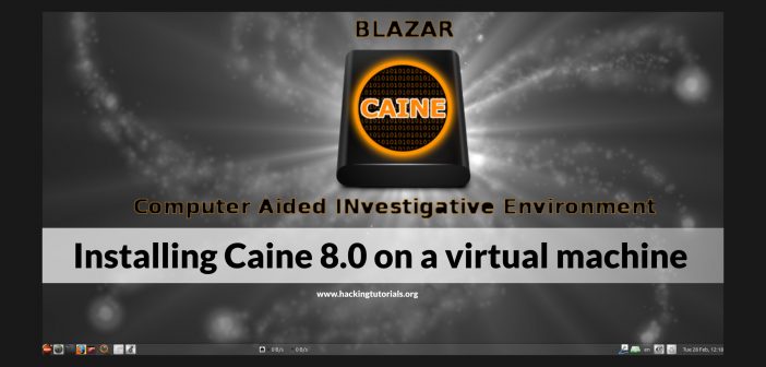 Installing Caine 8 on a virtual machine