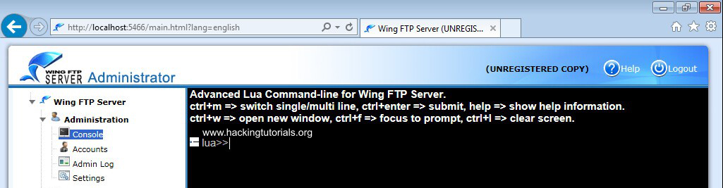 Wing FTP server lua command line