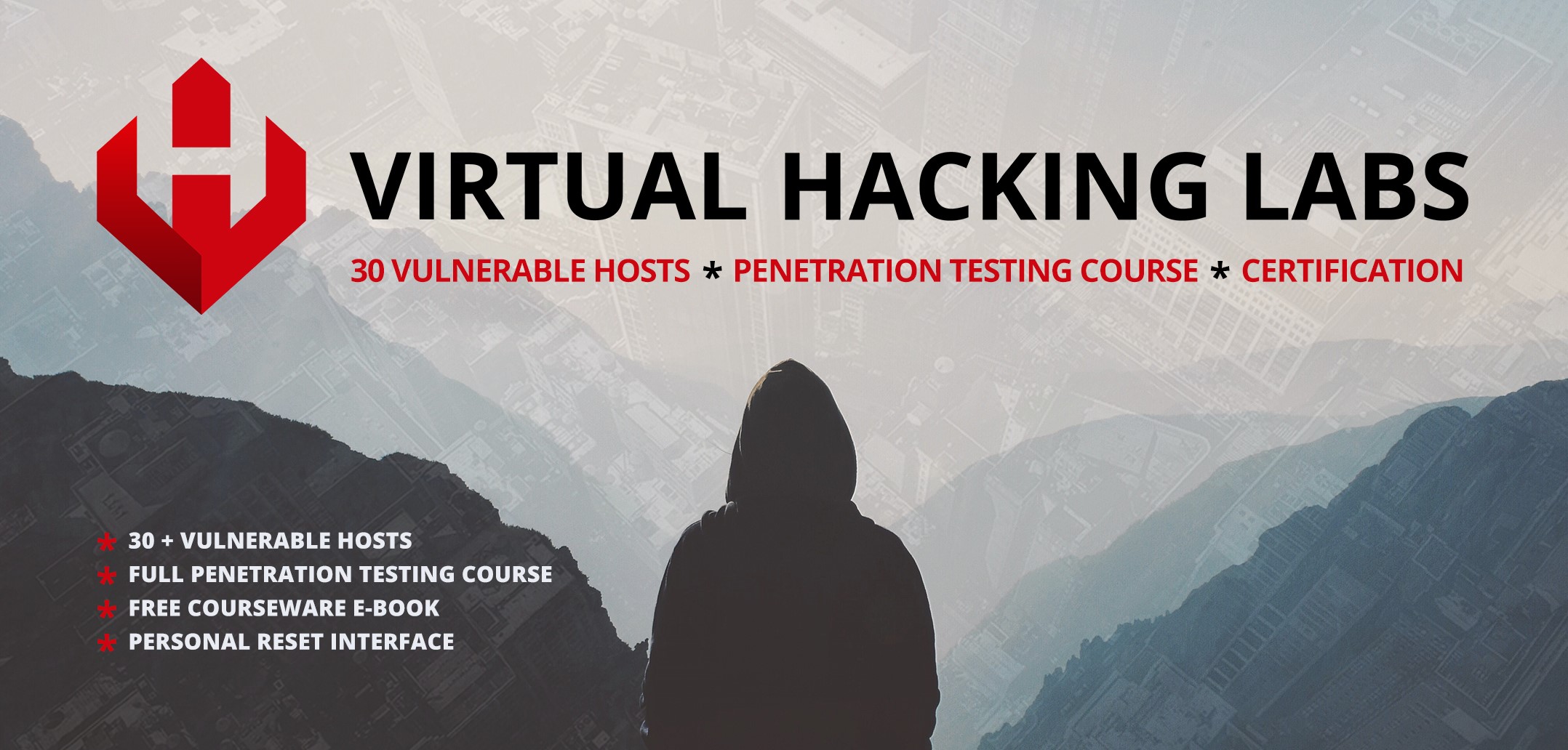 Hacking Labs  Virtual Hacking & Pentesting Labs (Upskill Fast)